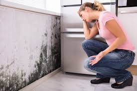 Best HVAC Mold Inspection and Cleaning  in East Falmouth, MA